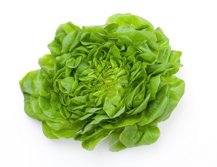 salată verde