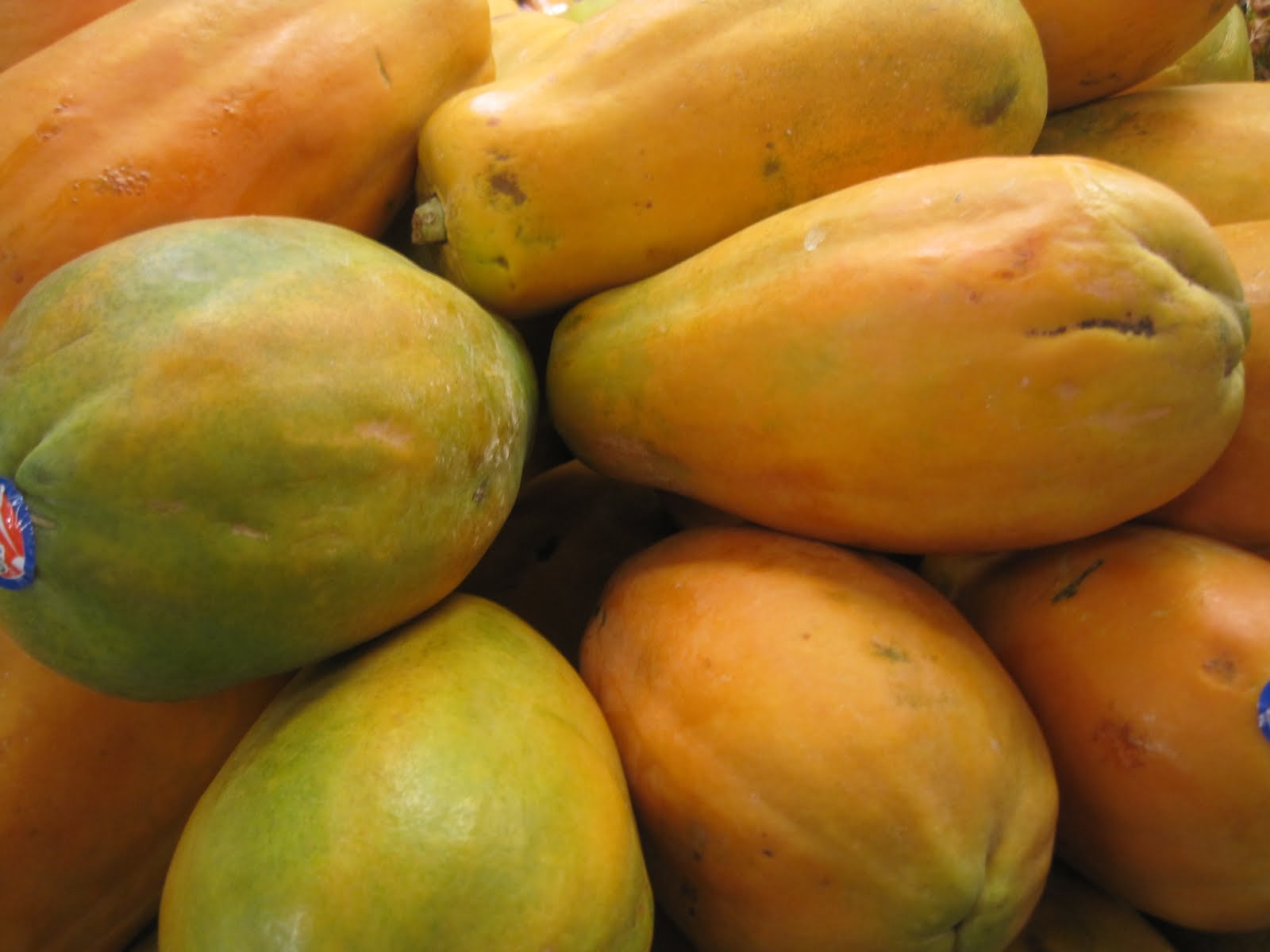 papaya fructe