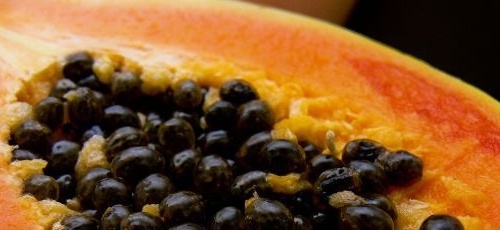 papaya semințe