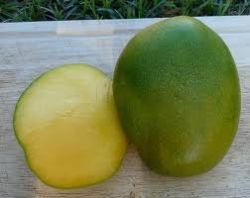 fruct mango necopt