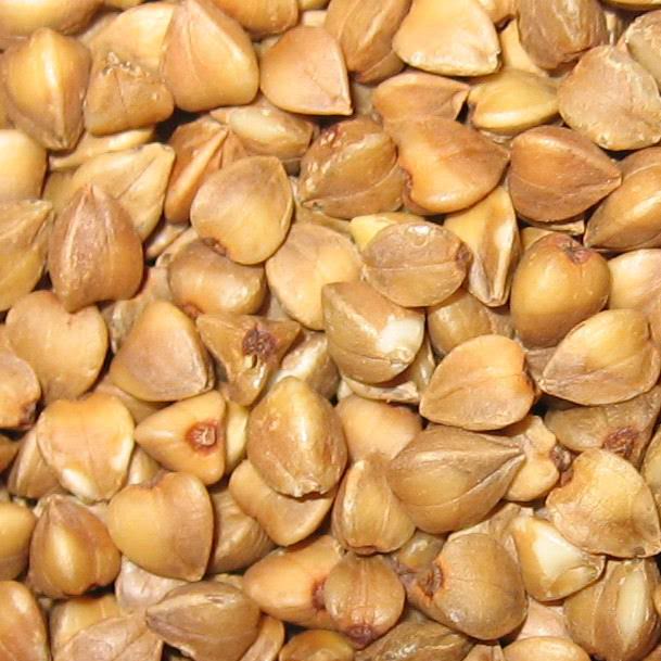 semințe de hrișcă