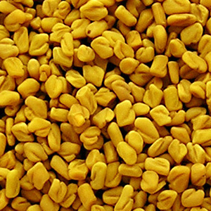 semințe de schinduf