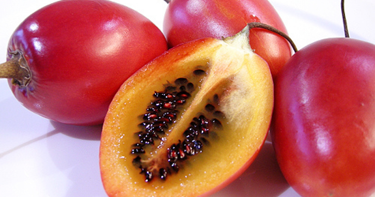 экзотический фрукт тамарилло. фрукт похожий на помидор оранжевый. фрукт похожий на помидор. тамарилло фрукт. фрукт похожий на томат.