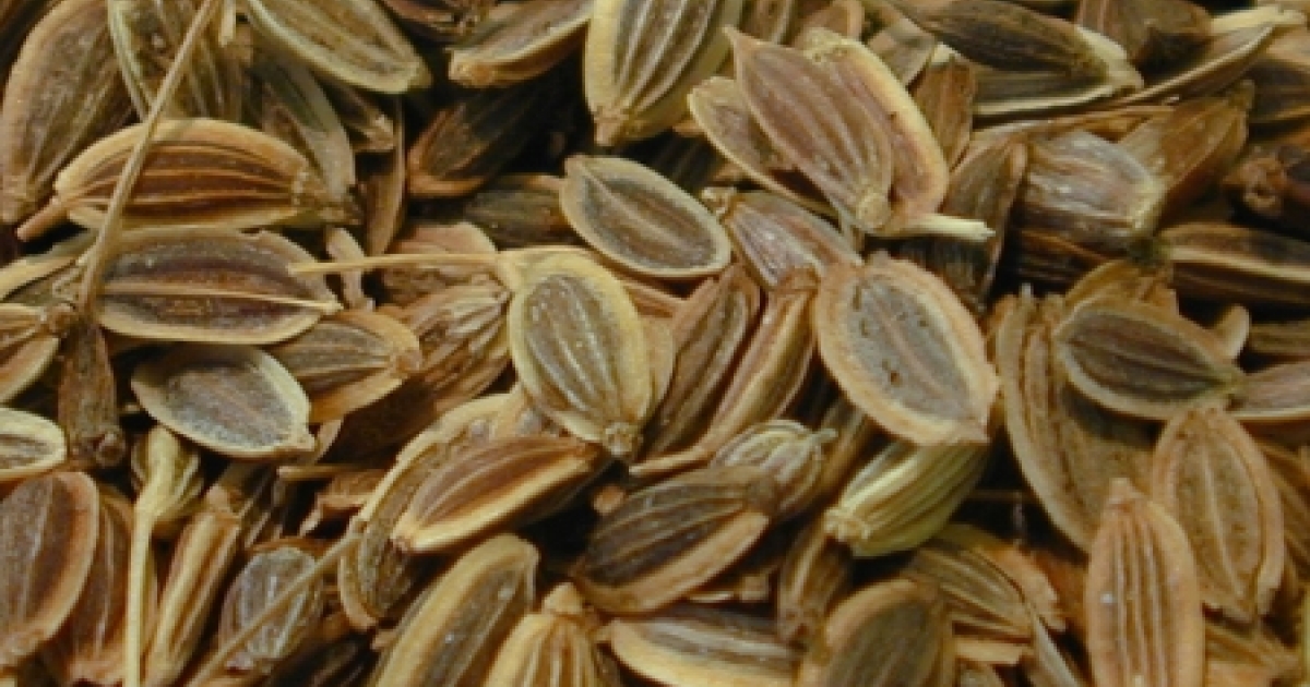 semințe de mărar și vedere)